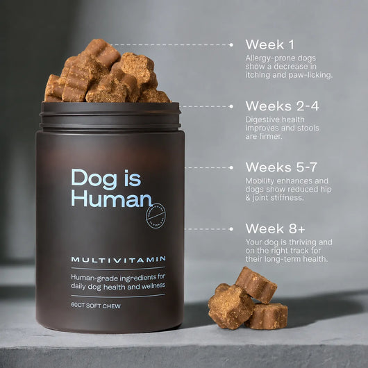 DM-01™ Daily Multivitamin