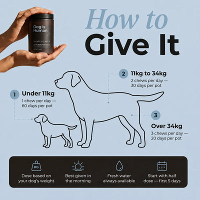 DM-01™ Daily Multivitamin