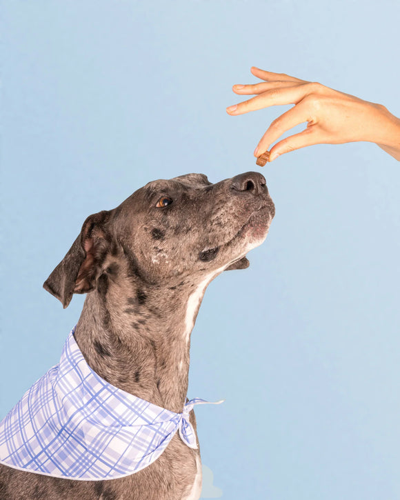 Feature product image