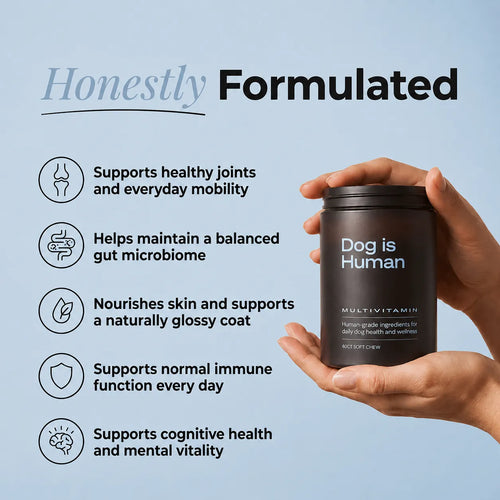 DM-01™ Daily Multivitamin