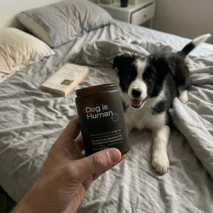 Premium Product