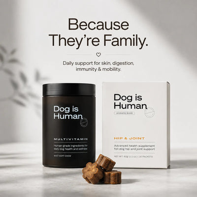 DM-01™ Daily Multivitamin
