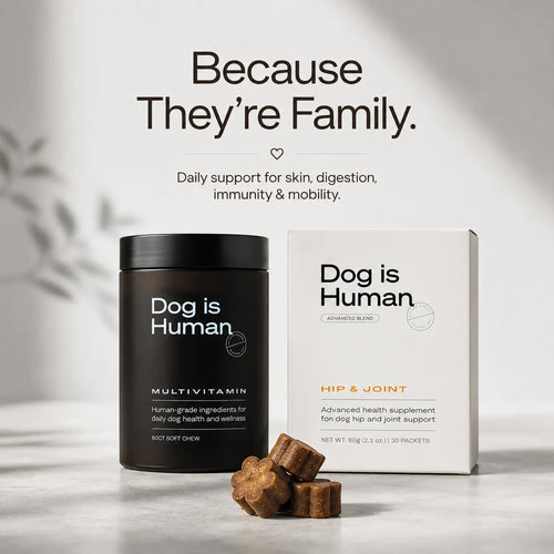 DM-01™ Daily Multivitamin